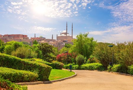 تضم مدينة القاهرة العديد من الحدائق الخلابة التي تعكس جمال الطبيعة وتوفر أماكن هادئة وممتعة للتجول والاسترخاء. تتنوع هذه الحدائق بين الحدائق الكبيرة والصغيرة، وتضم مجموعة متنوعة من النباتات والمناظر ا...