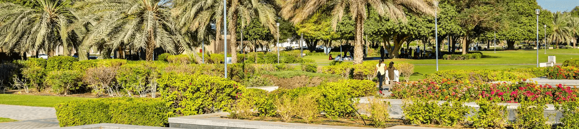 Top 15 Tourist Attractions in Al Ain