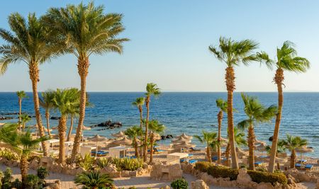 تُعد الغردقة من أشهر الوجهات السياحية في مصر، حيثُ تمتزج فيها روعة الطبيعة مع تنوع الأنشطة الترفيهية، مما يجعلها مقصداً مثالياً لِعشاق الاستجمام والمغامرة