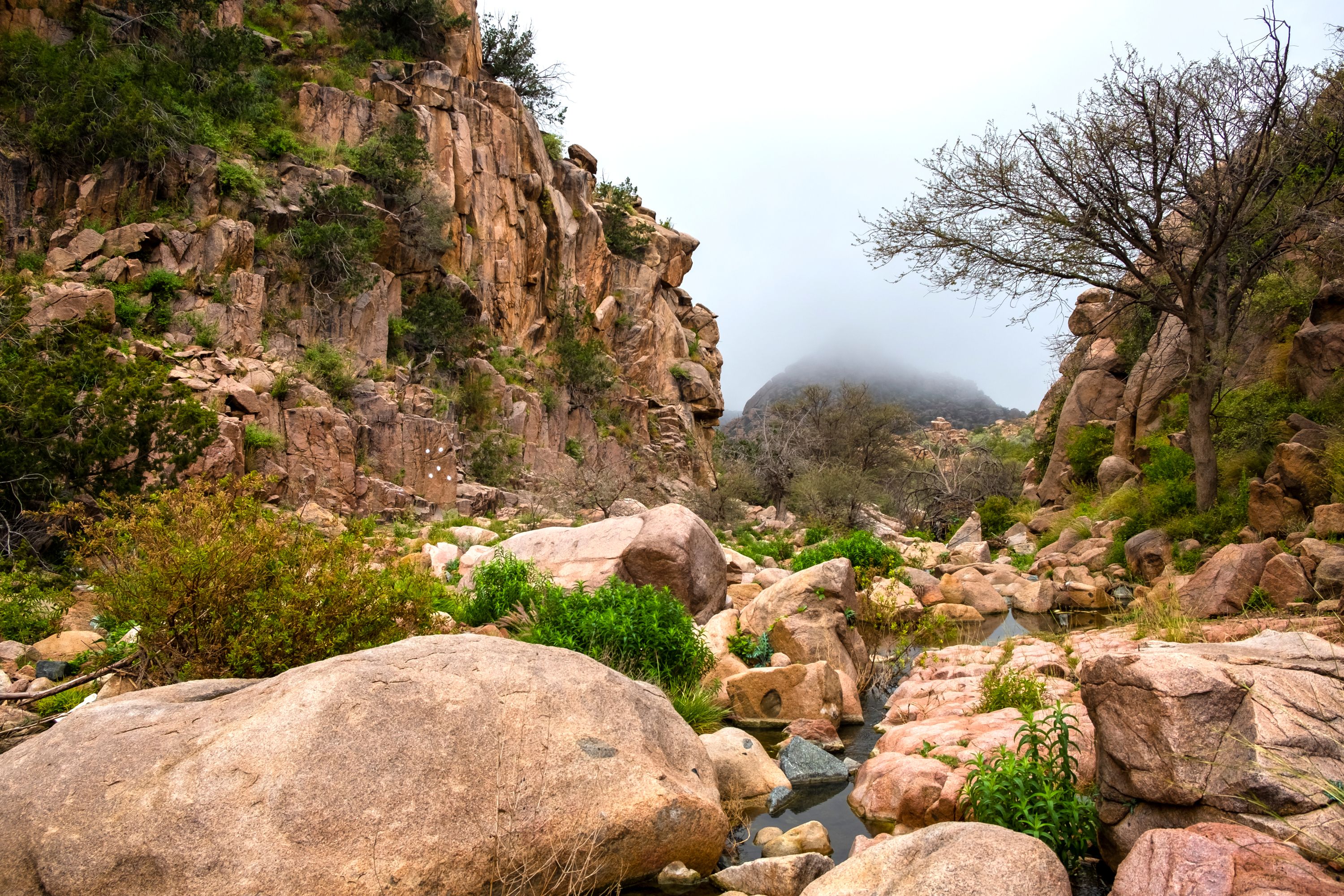 حين تبحث عن مدينة تجمع بين اعتدال الطقس، وجمال الطبيعة، وعبق التاريخ، فإن الطائف تفرض اسمها كواحدة من أجمل الوجهات السياحية في المملكة العربية السعودية