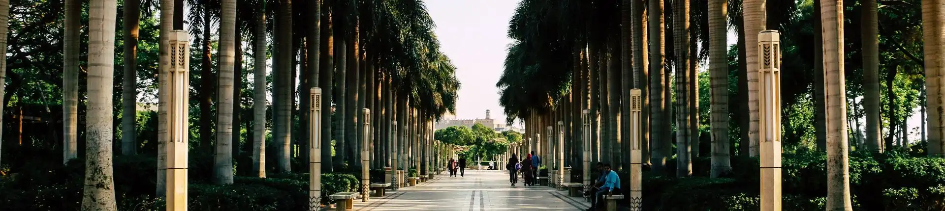 Top Activities at the International Park in Cairo