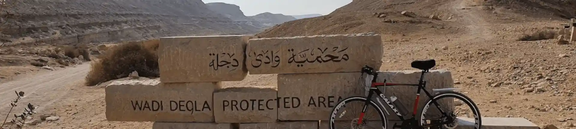 أفضل الأنشطة في محمية وادي دجلة