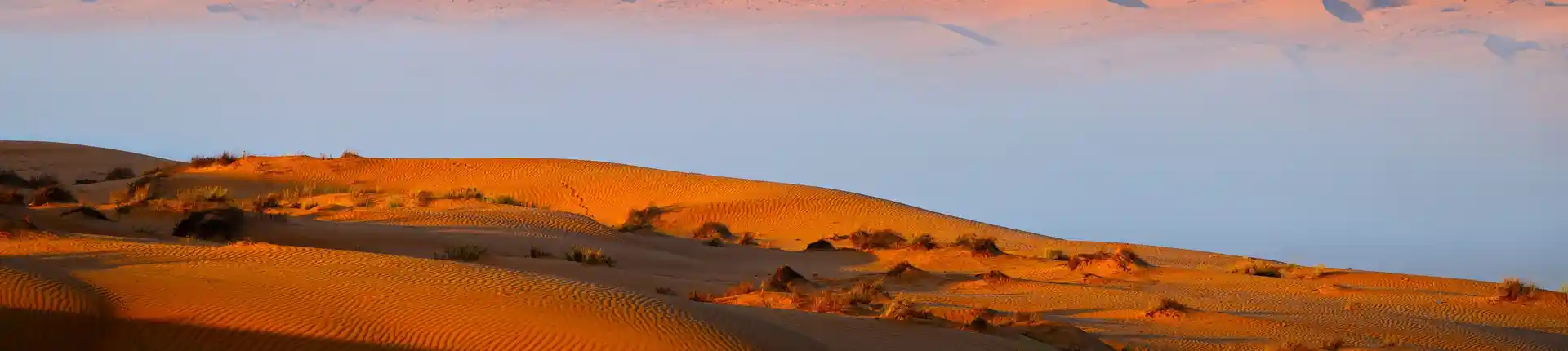 An Ultimate Oman Travel Guide
