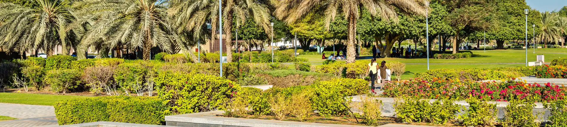 Top 15 Things to Do in Al Ain