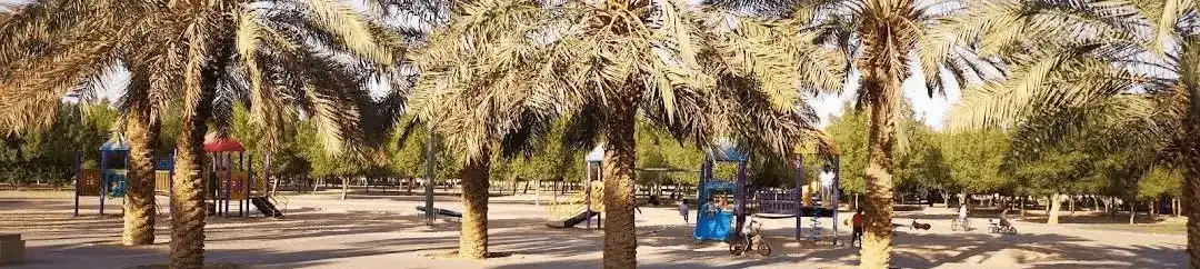 Best Activities at Al Rawdah Park in Riyadh