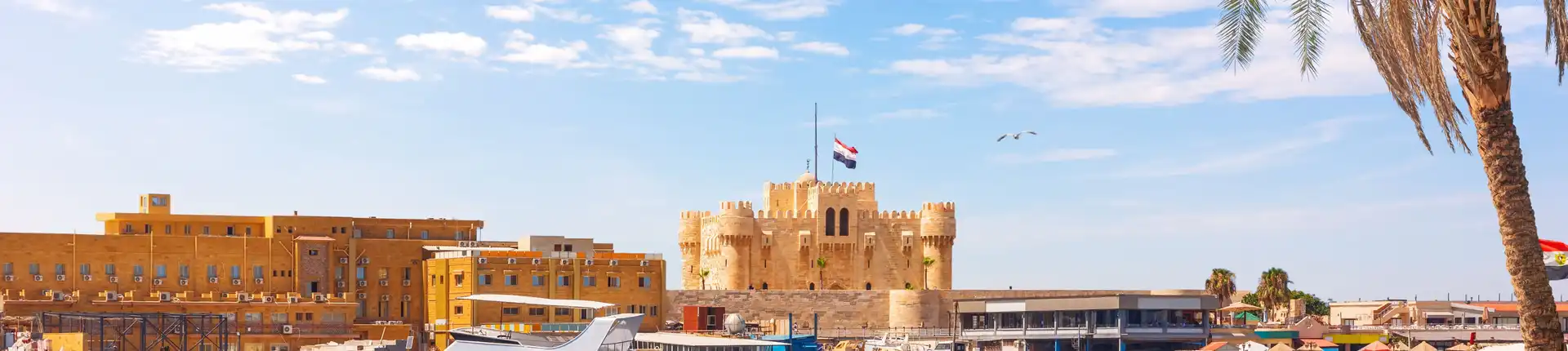 An Ultimate Guide to Alexandria 