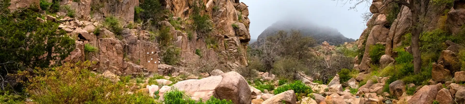 أماكن سياحية في الطائف