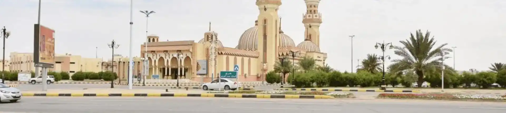 An Ultimate Guide to Arar