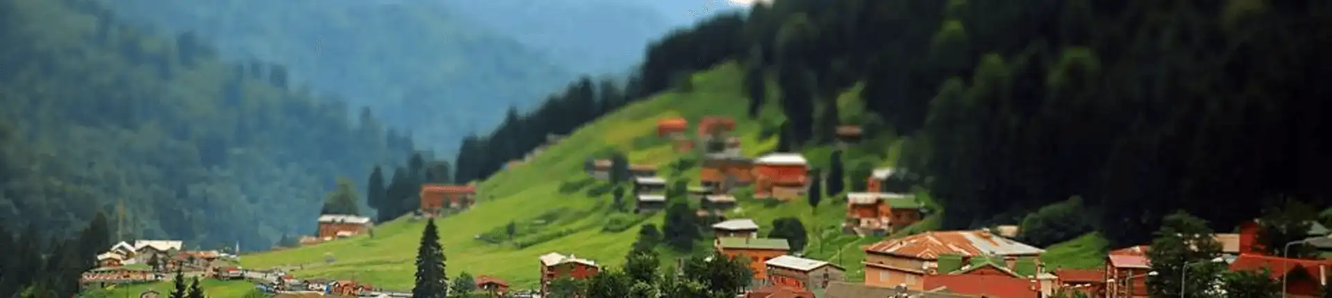An Ultimate Guide to Ayder Plateau in Türkiye