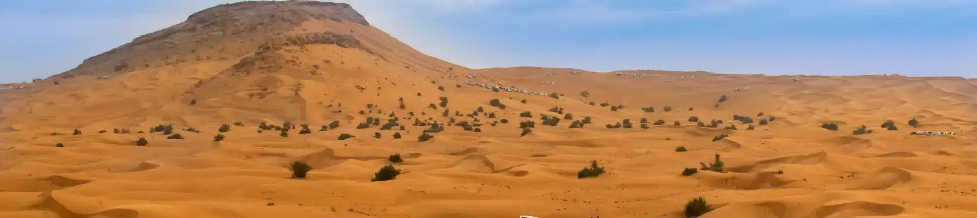Top Desert Safari Destinations in the MENA Region