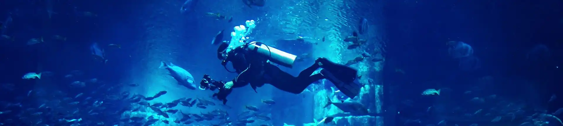 Best Scuba Diving Spots in Dubai