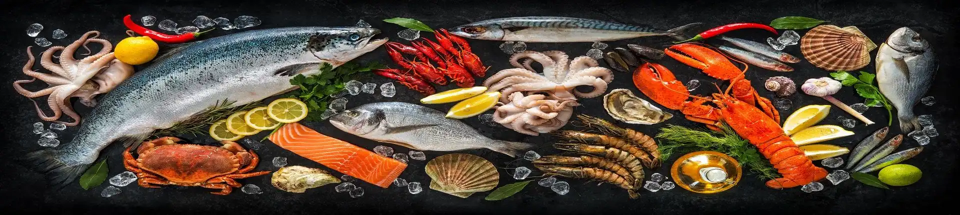 10 Best Seafood Restaurants in Dubai