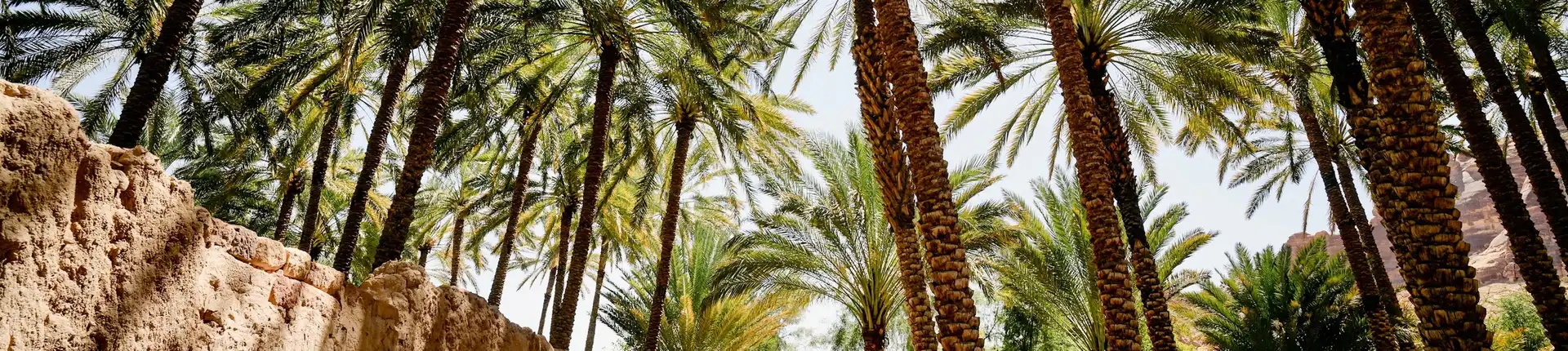 Top Green Hotels and Resorts in the MENA Region for Eco-Friendly Stays