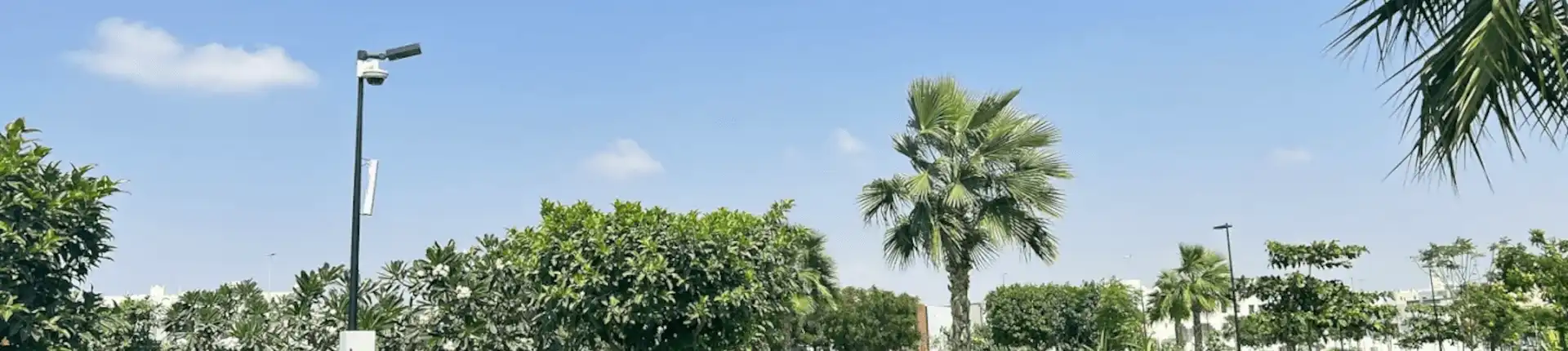 استكشف حديقة الأمير ماجد