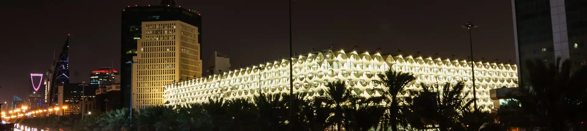 Top Libraries in the MENA Region