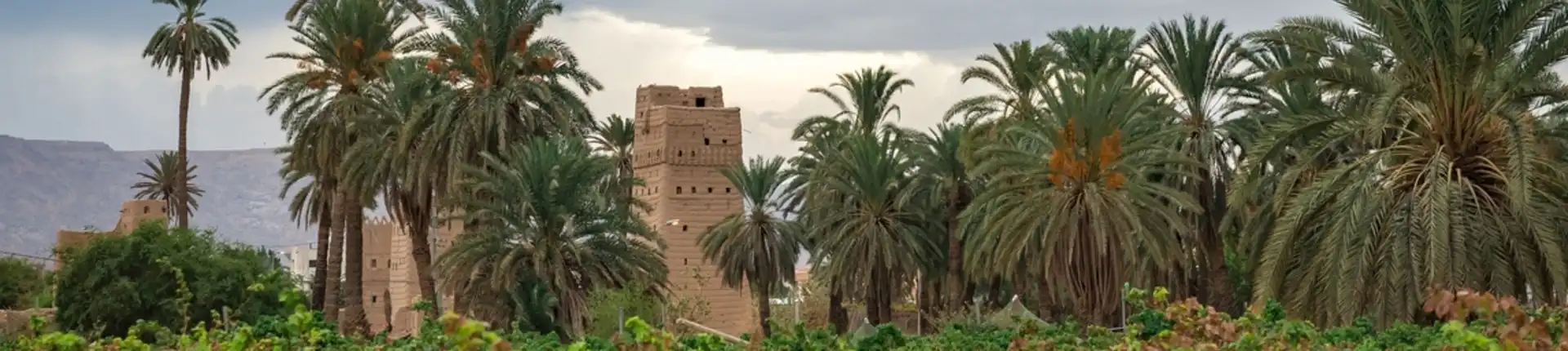 أفضل 10 أماكن سياحية في نجران ستستمع بزيارتها