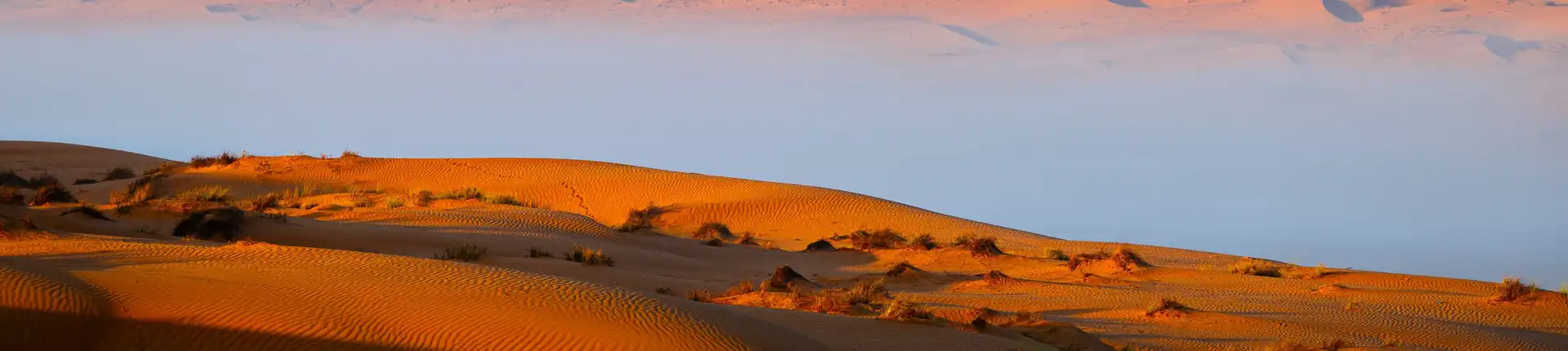 An Ultimate Oman Travel Guide