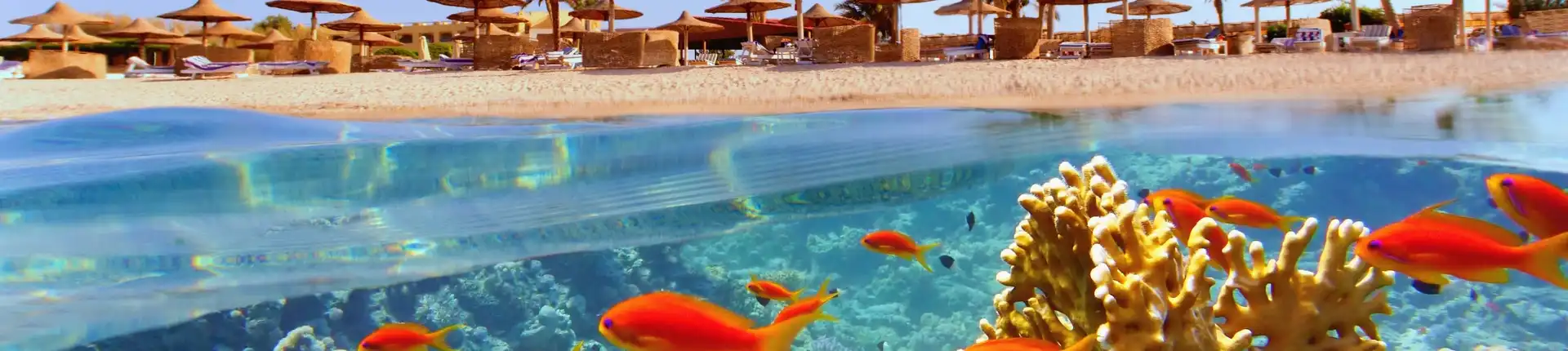 An Ultimate Guide to Sharm El Sheikh  