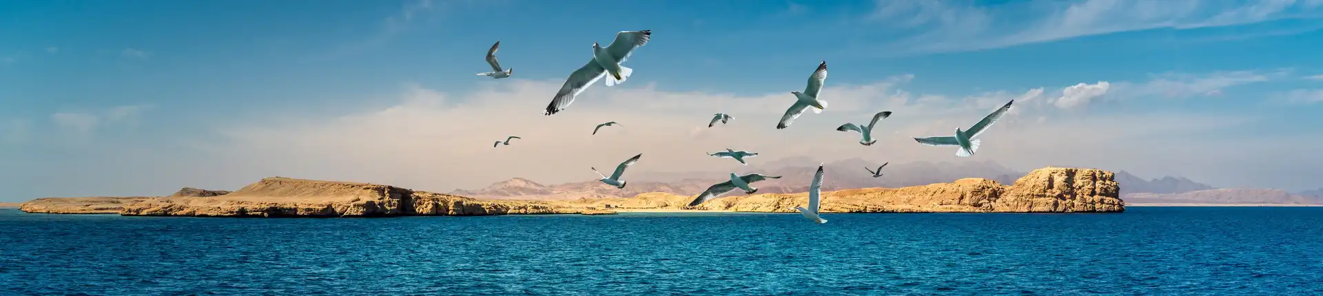 محميات طبيعية عربية تستحق الزيارة