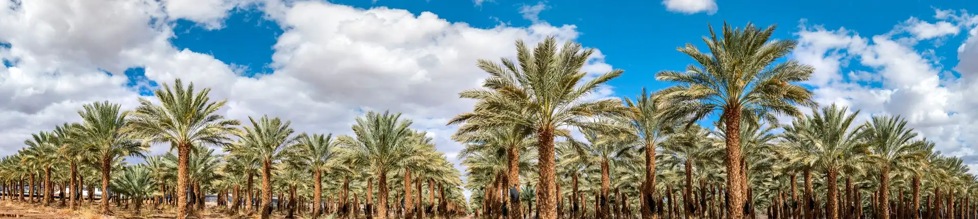 وجهات السياحة البيئية في السعودية