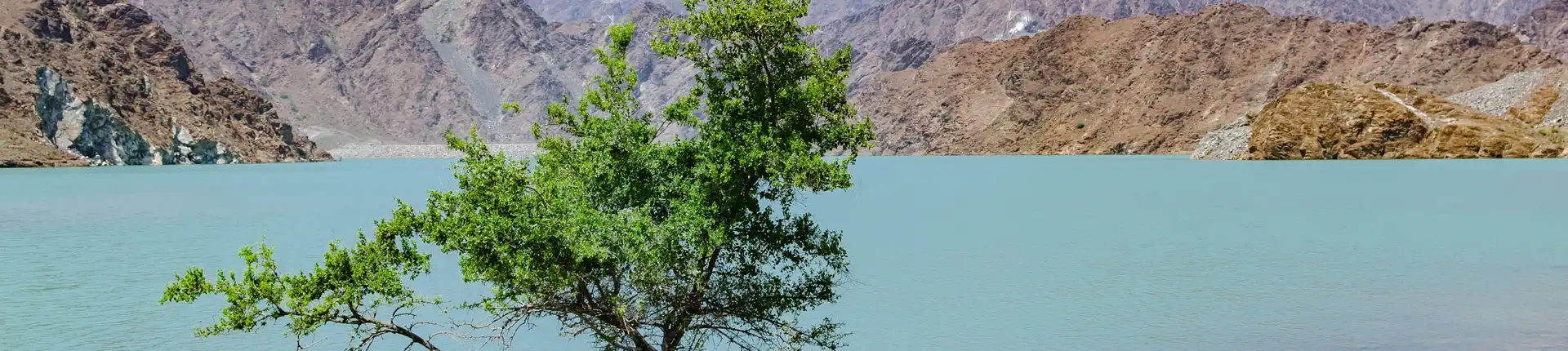 The Ultimate Guide to Wadi Adventures in Oman and the UAE