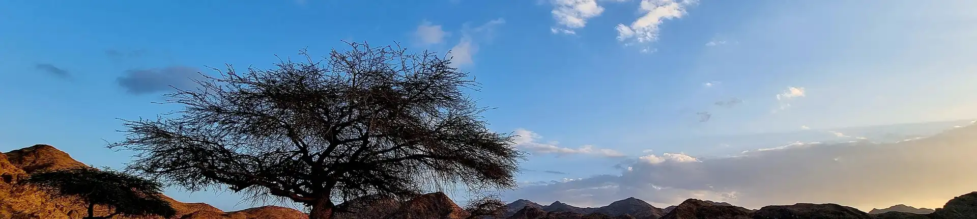 دليل زيارة محمية وادي الجمال 