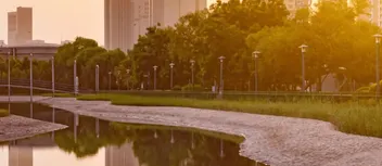 Best 15 Parks in Abu Dhabi