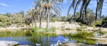 جولة في افريكانو بارك