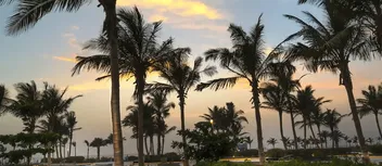 An Ultimate Guide to Dhahban Marine Park in Jeddah