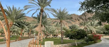 أماكن ترفيهية في المدينة المنورة