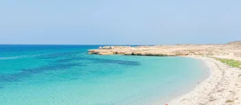 دليل زيارة  جزيرة فرسان
