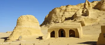 أفضل الأنشطة في محمية وادي الحيتان