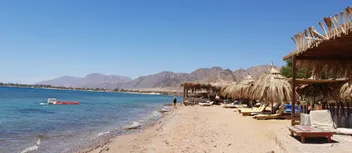 يوز داي في نويبع