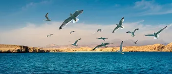 محميات طبيعية عربية تستحق الزيارة