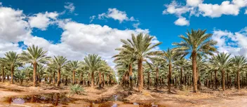 وجهات السياحة البيئية في السعودية