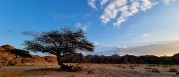 دليل زيارة محمية وادي الجمال 