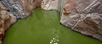 جولة في وادي الوشواش