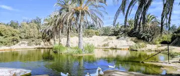 جولة في افريكانو بارك
