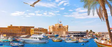 An Ultimate Guide to Alexandria 
