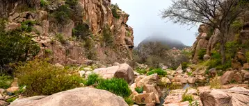 أماكن سياحية في الطائف