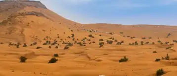 Top Desert Safari Destinations in the MENA Region