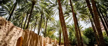Top Green Hotels and Resorts in the MENA Region for Eco-Friendly Stays