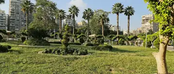 أفضل الأنشطة في حديقة الطفل