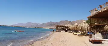 يوز داي في نويبع