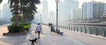 Traveling with Pets: The Most Pet-Friendly Staycations Across the United Arab Emirates