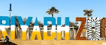An Ultimate Guide to Riyadh Zoo