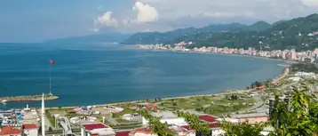 An Ultimate Guide to Rize