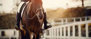 وجهات عربية لعشاق ركوب الخيل