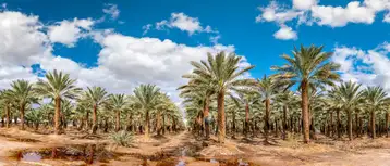وجهات السياحة البيئية في السعودية