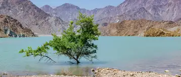 The Ultimate Guide to Wadi Adventures in Oman and the UAE
